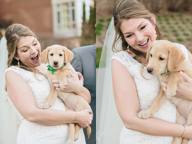 Bride in Wedding Dress with dog