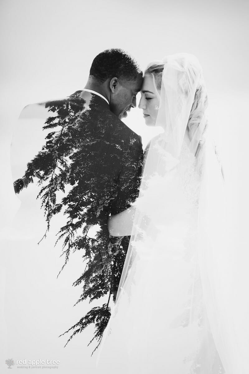 Red Apple Tree Photography Photographer The Cliffs Glassy At Wedding Chapel Ceremony Hotel Domestique Reception Greenville Sc Modern Mountains Blue Ridge 043